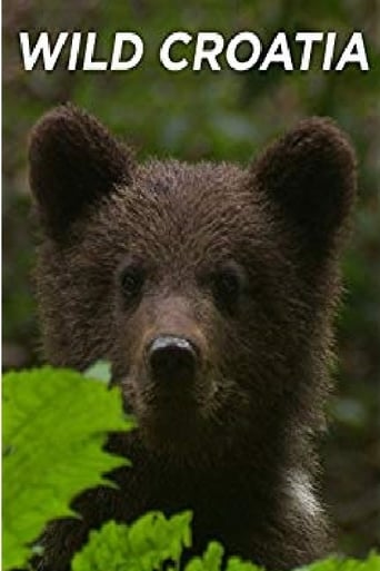 Poster of Wild Croatia