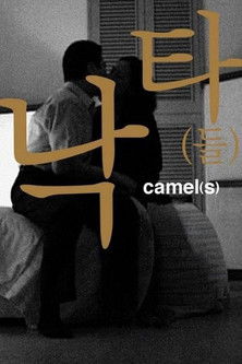 Poster of Camel(s)