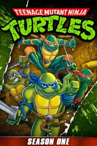 Portrait for Teenage Mutant Ninja Turtles - Season 1