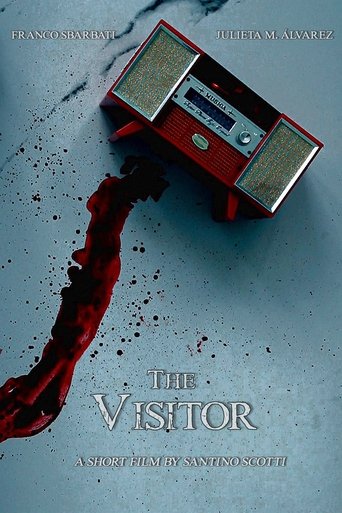 Poster of The Visitor