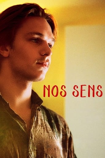 Poster of Our Senses