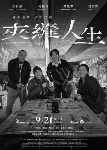 Poster of Through the Cracks