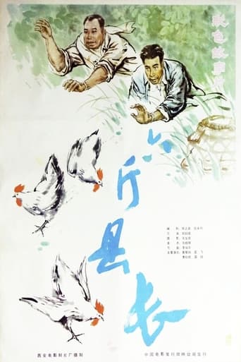 Poster of 六斤县长