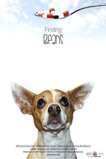 Poster of Finding Beans
