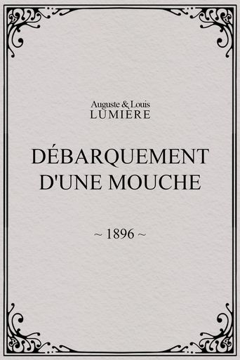 Poster of Lyon: Débarquement d'une mouche