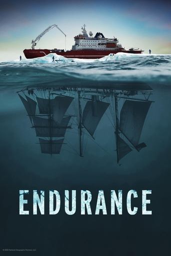 Poster of Endurance