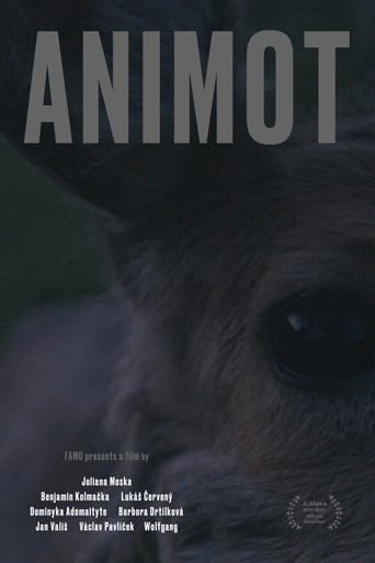 Poster of Animot