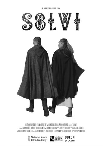 Poster of Solvi