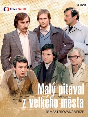 Poster of Malý pitaval z velkého města