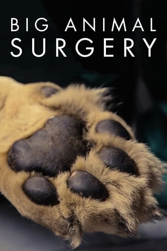 Poster of Big Animal Surgery