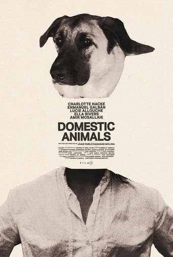 Poster of Domestic Animals