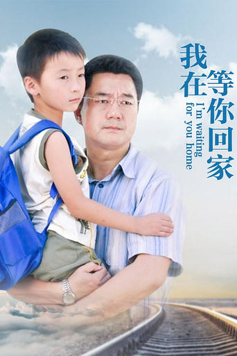 Poster of 我在等你回家