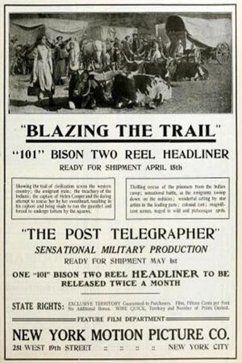 Poster of The Post Telegrapher