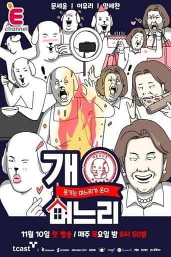 Poster of 개며느리