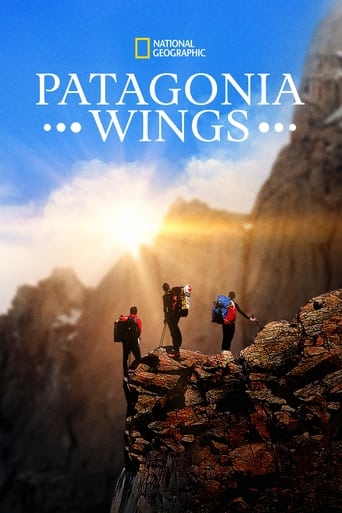 Poster of Patagonia Wings