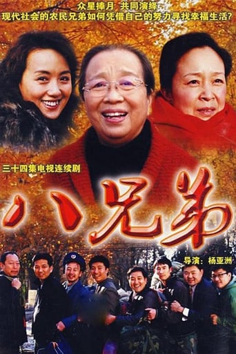 Poster of 八兄弟