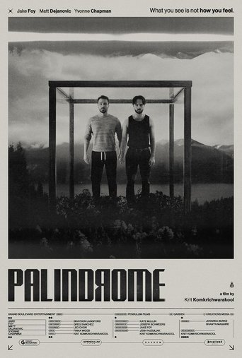 Poster of Palindrome