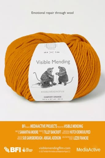 Poster of Visible Mending