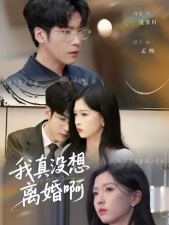 Poster of 我真没想离婚啊