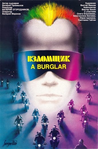 Poster of The Burglar