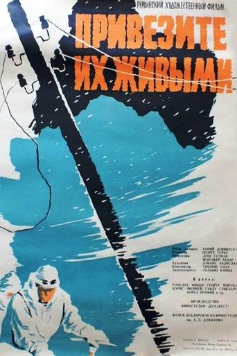 Poster of The Avalanche