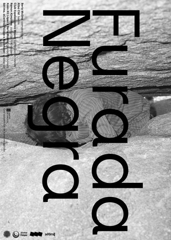 Poster of Furada Negra
