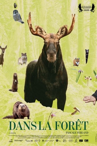 Poster of In the Forest