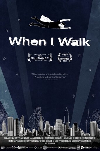 Poster of When I Walk