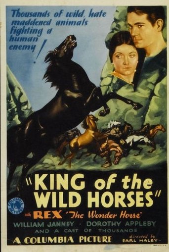 Poster of King of the Wild Horses