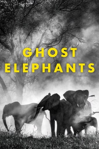 Poster of Ghost Elephants