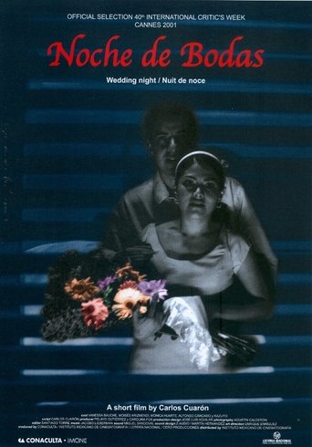 Poster of Wedding Night