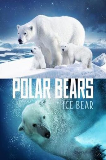 Poster of Polar Bears: Ice Bear