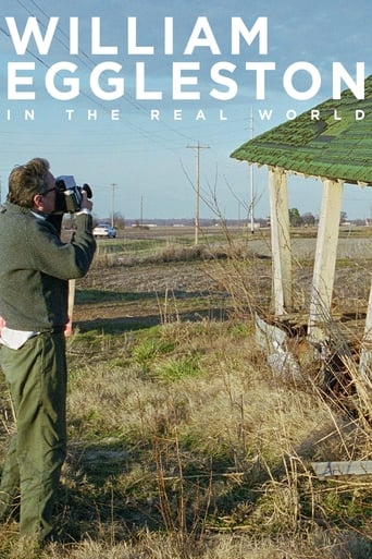 Poster of William Eggleston in the Real World