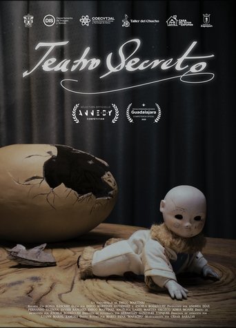 Poster of Secret Theatre