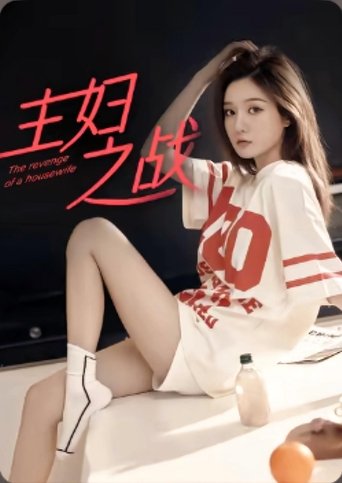 Poster of 主妇之战