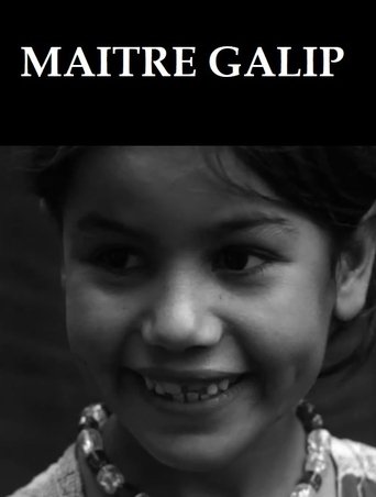 Poster of Maître Galip