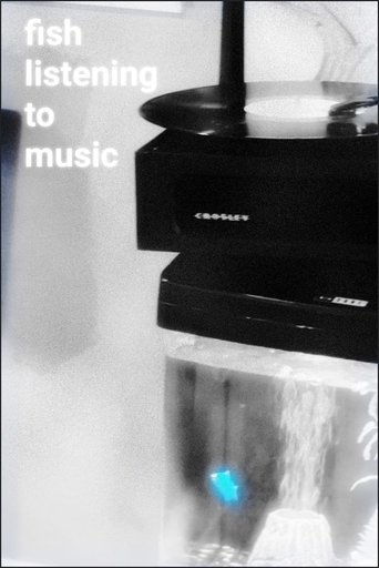 Poster of Fish Listening To Music