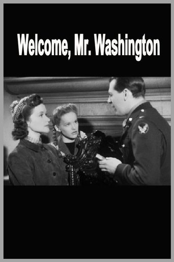 Poster of Welcome, Mr Washington