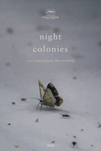 Poster of Night Colonies