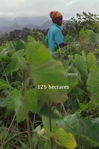 Poster of 125 hectares