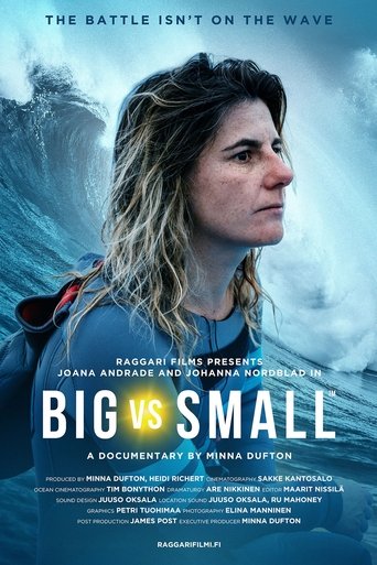 Poster of Big vs. Small