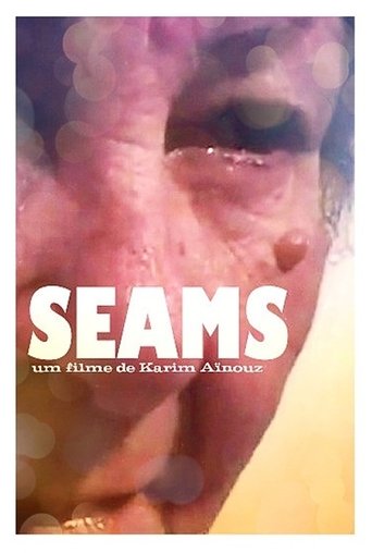 Poster of Seams