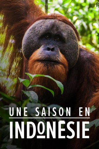 Poster of Une saison en Indonésie