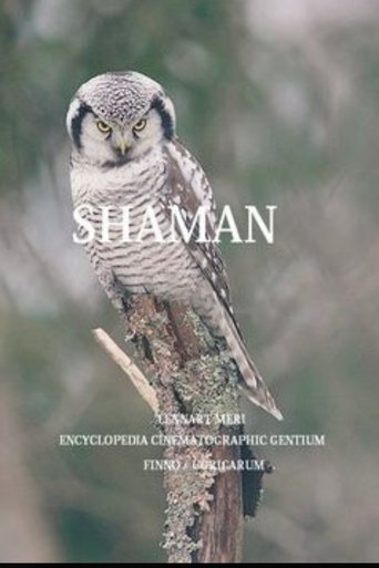 Poster of The Shaman