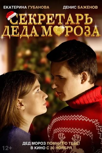 Poster of The Secretary of Santa Claus