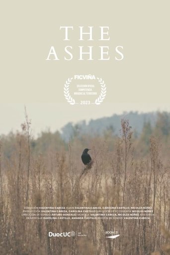Poster of The Ashes