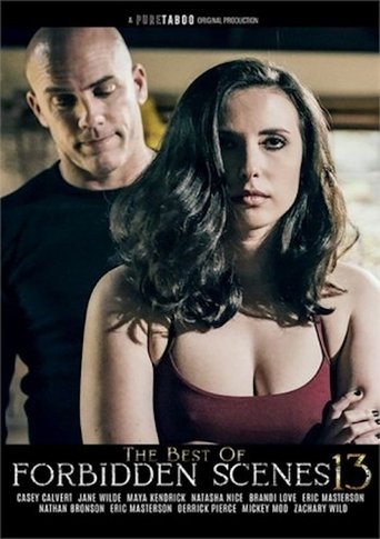 Poster of The Best of Forbidden Scenes 13