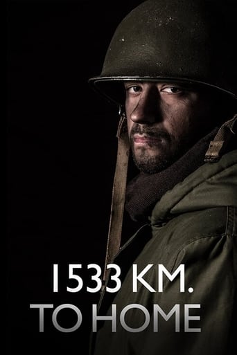 Poster of 1533 Km. to Home