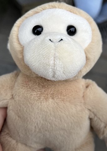 Poster of Mitchel Monkey
