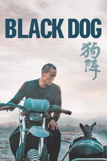 Poster of Black Dog